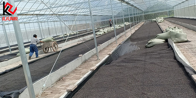 合肥蜀山區某生態園陶粒施工